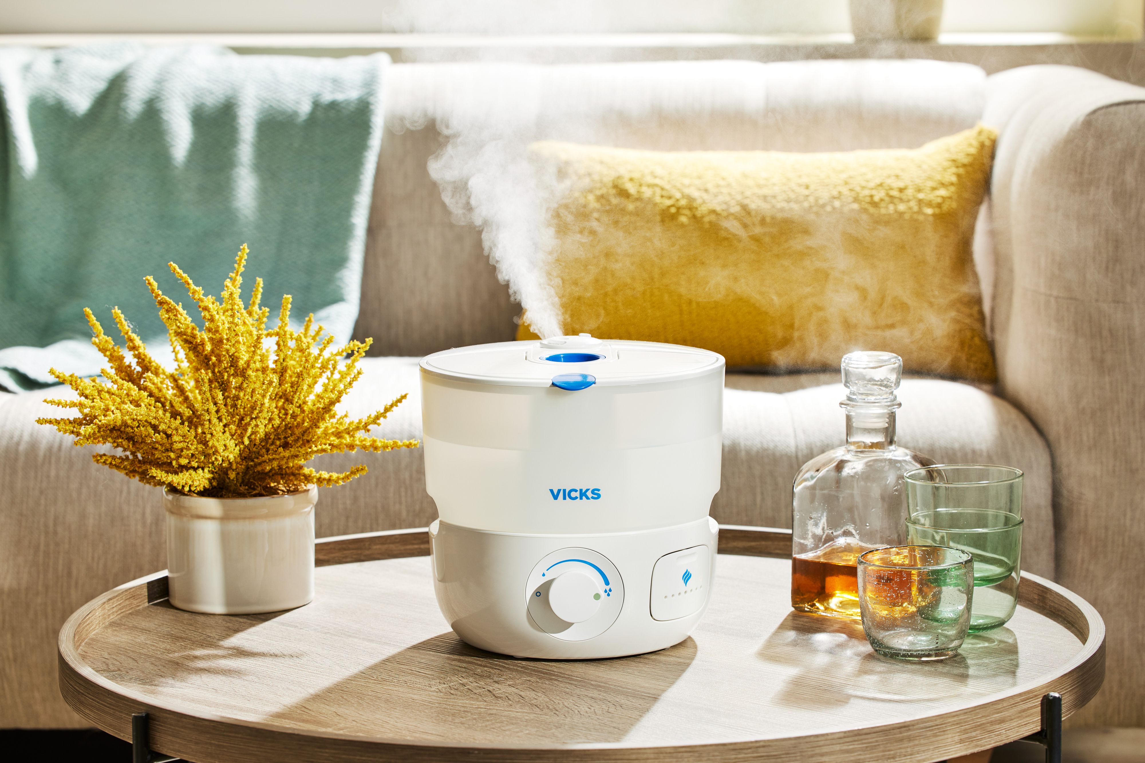 8 Best Smart Humidifiers (2026 Review Guide)